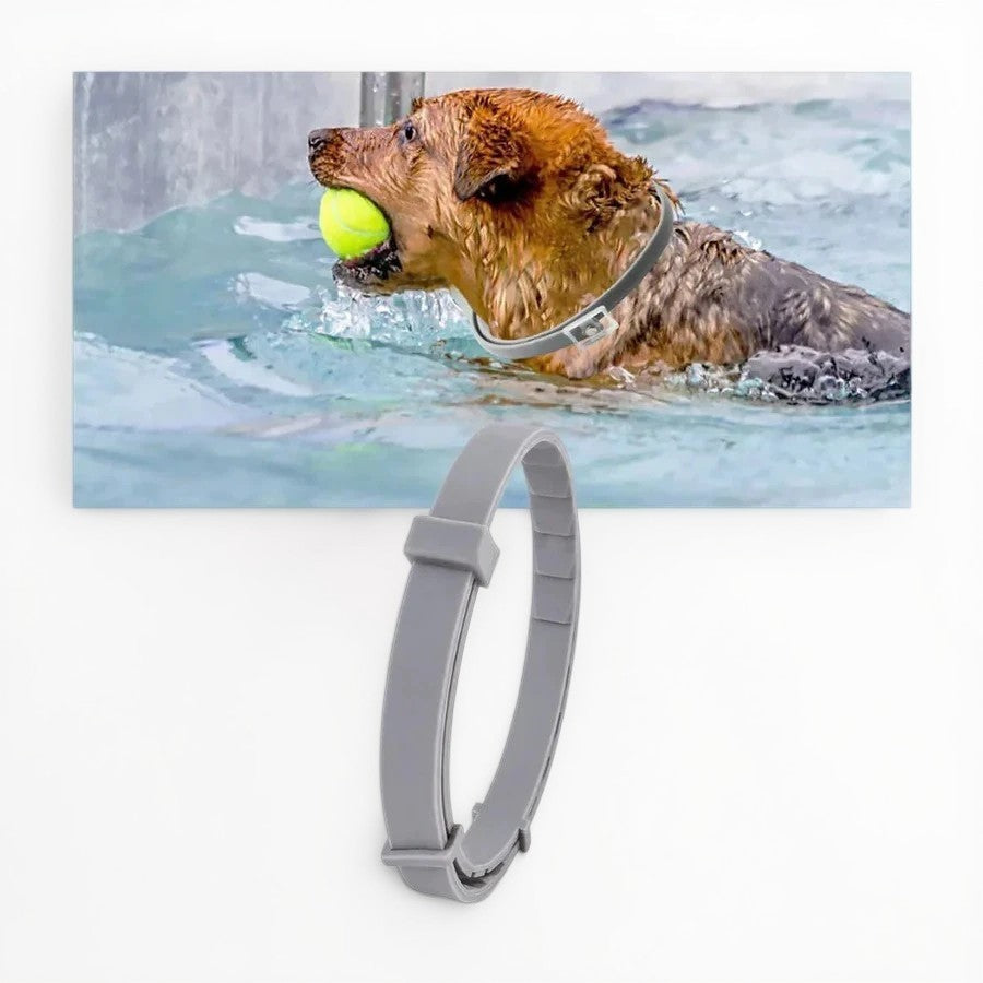 Unisex Adjustable Water-Resistant Pet Flea and Tick Repellent Collar | Durable and Comfortable Protection 3