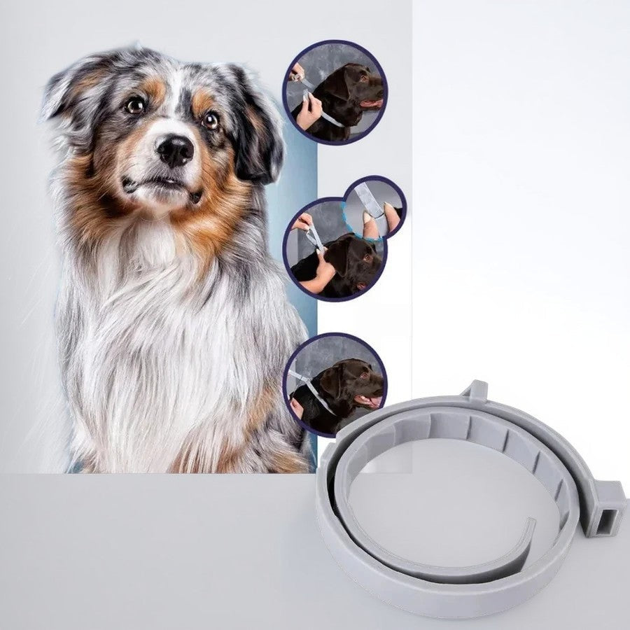 Unisex Adjustable Water-Resistant Pet Flea and Tick Repellent Collar | Durable and Comfortable Protection 7
