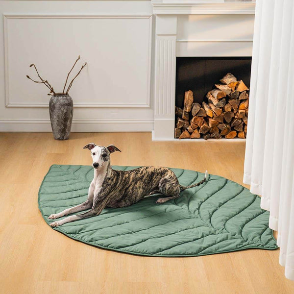 Unisex Cotton Leaf Shape Blanket | Extra Large Comfortable Pet Mat 0