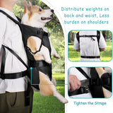 Unisex Dog Carrying Backpack | Breathable Mesh Pet Carrier for Outdoor Adventures 3