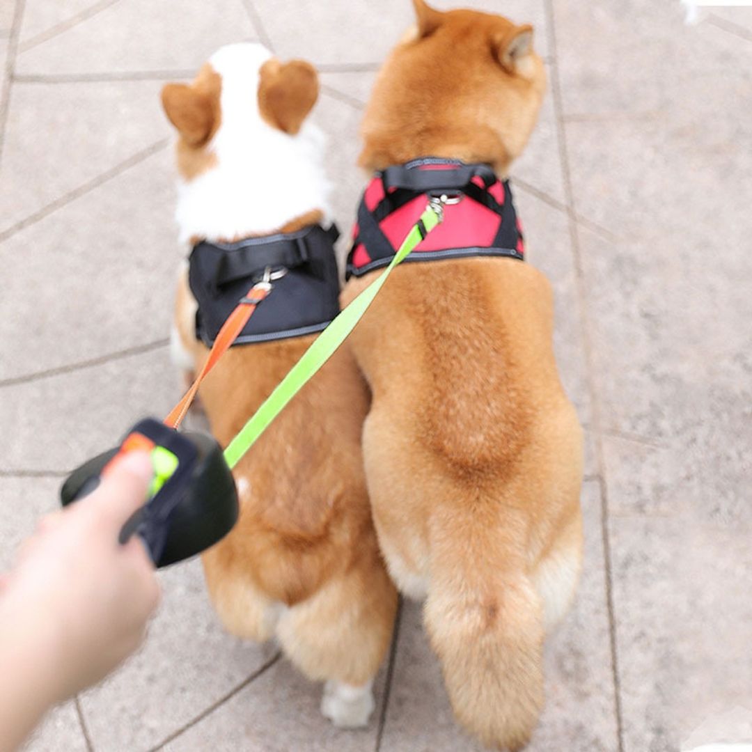 Unisex Durable Nylon Double Dog Leash | Anti-Tangle Dual Lead with Padded Handle 2