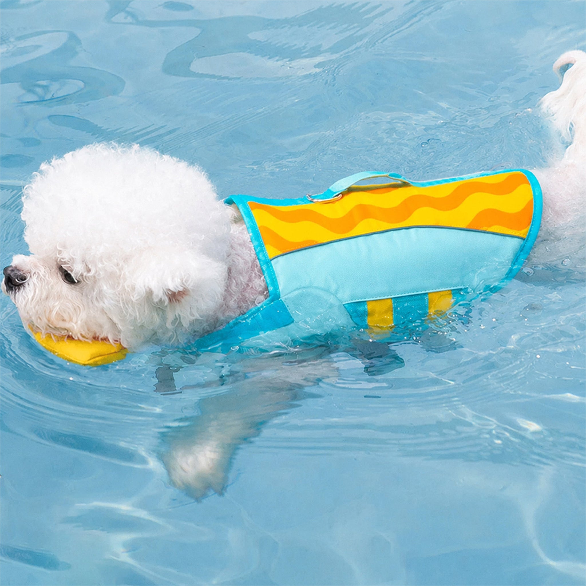 Unisex Durable Oxford Cloth Dog Life Jacket | Stylish High-Buoyancy Swim Vest for Safety 8