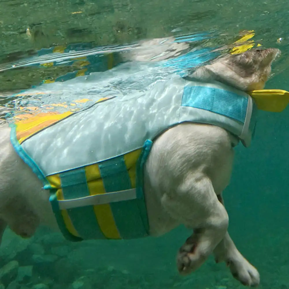 Unisex Durable Oxford Cloth Dog Life Jacket | Stylish High-Buoyancy Swim Vest for Safety 9