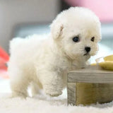 Unisex Interactive Synthetic Leather Robotic Puppy | Lifelike Companion Toy 1