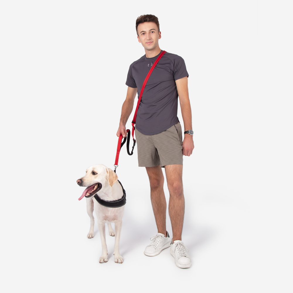 Unisex Tear-Resistant Nylon Dog Leash | Versatile Hands-Free Adjustable Bungee 5