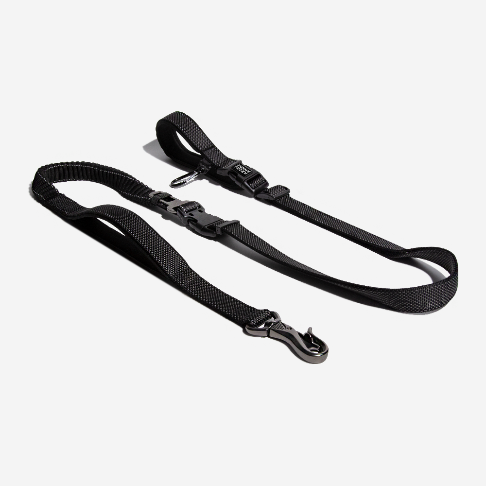 Unisex Tear-Resistant Nylon Dog Leash | Versatile Hands-Free Adjustable Bungee 7
