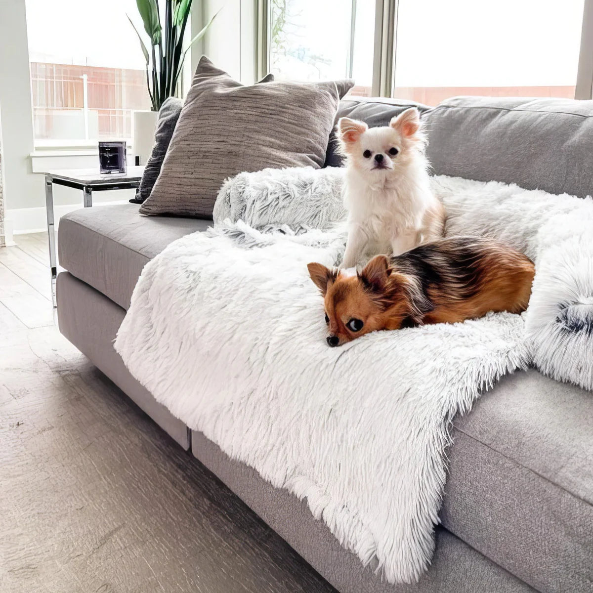 Unisex Waterproof Dog-Proof Couch Cover | Durable Quilted Sofa Protector for Pets 5