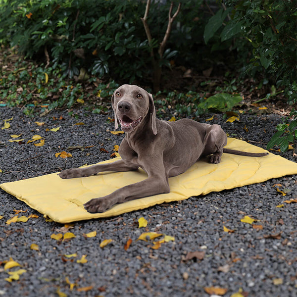 Unisex Waterproof Portable Dog Car Seat Mat | Foldable Camping Travel Mat 0