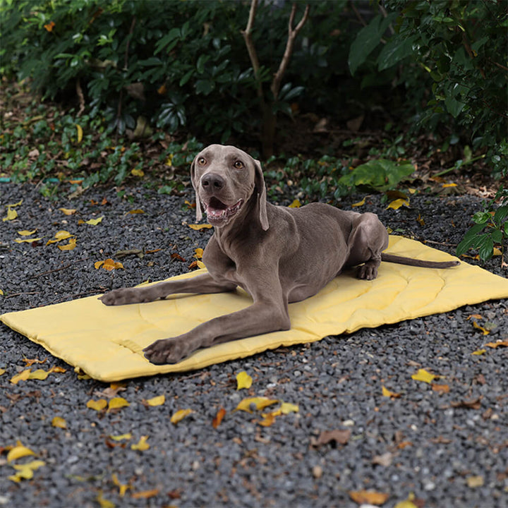 Unisex Waterproof Portable Dog Car Seat Mat | Foldable Camping Travel Mat 0