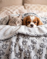 Paw Print Blanket alternate view