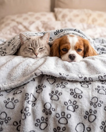 Paw Print Blanket lifestyle