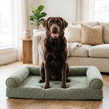 Large dog resting on Furzzee orthopedic memory foam dog bed