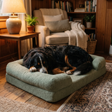 Dog sleeping on Furzzee sage green orthopedic dog bed