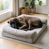Gray orthopedic bolster dog bed with large dog resting