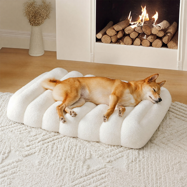 Large Cozy Teddy-Fleece Dog Bed | Comfortable Crate Sofa for Autumn