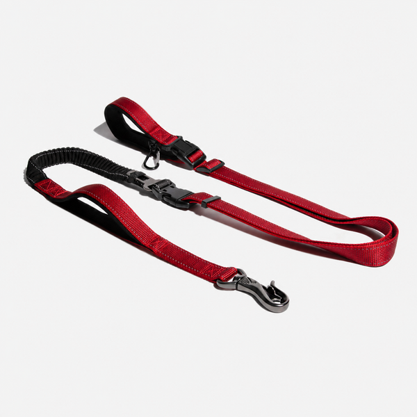 Unisex Tear-Resistant Nylon Dog Leash | Versatile Hands-Free Adjustable Bungee