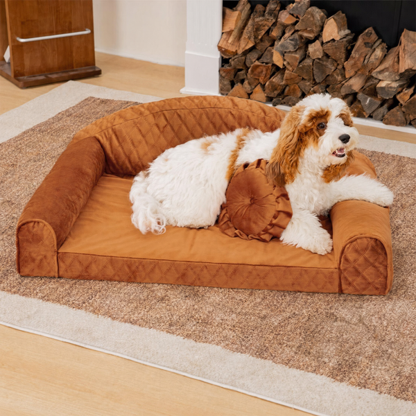 Small Dog Velvet Sofa Bed | Cozy Princess Design for Comfort