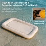 Orthopedic Memory Foam Dog Mat | Waterproof Chew-Proof Bed | Comfortable and Durable Support