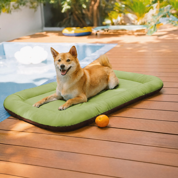 Orthopedic Memory Foam Dog Mat | Waterproof Chew-Proof Bed | Comfortable and Durable Support