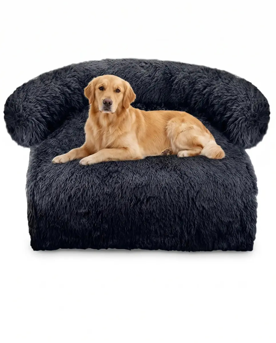 Memory Foam Mattress
