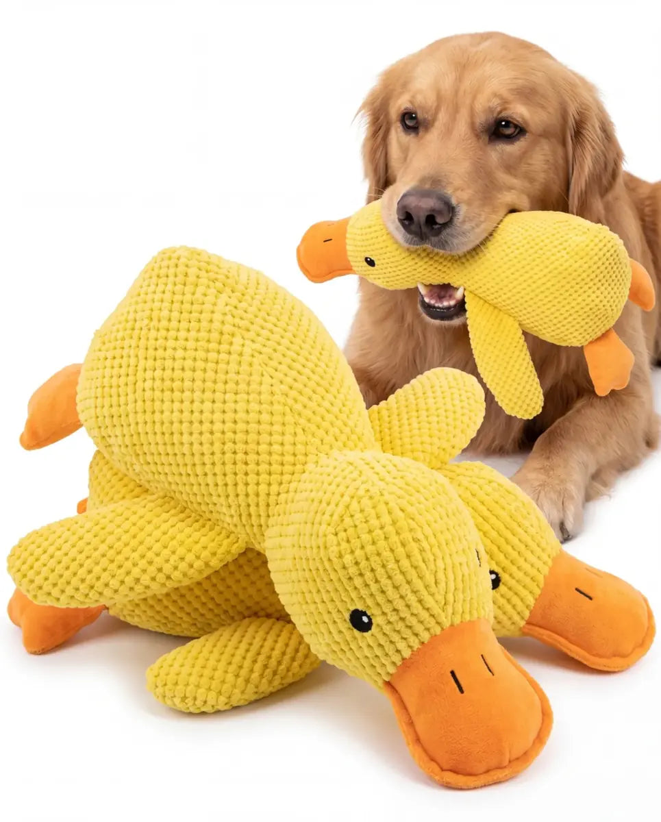 Snuggle Duck Plush alternate view