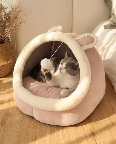 Beds & Blankets