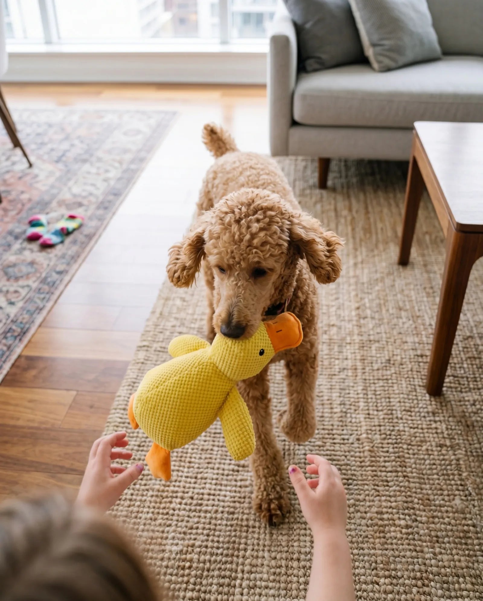 The ultimate fetch favorite