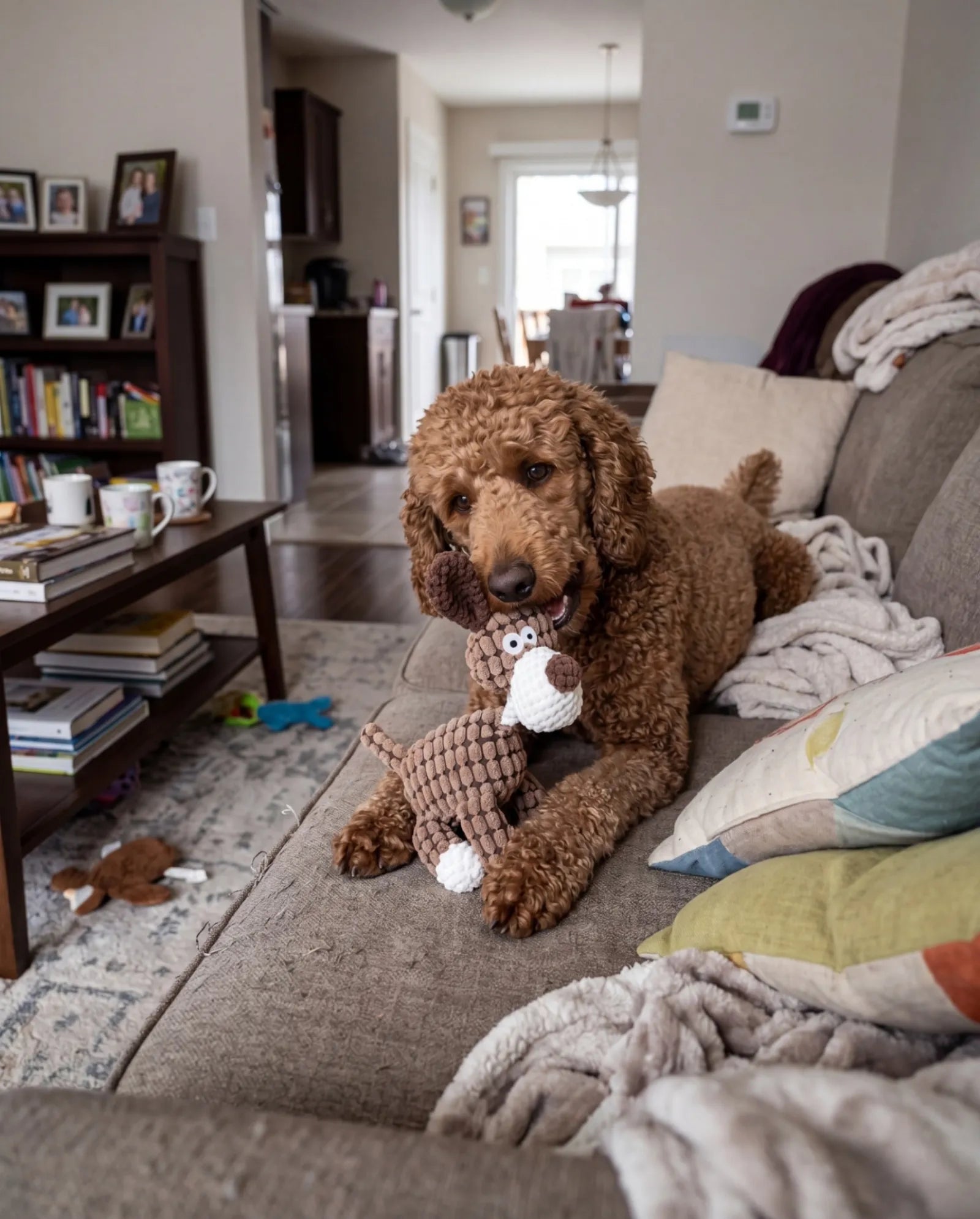 Soft enough for gentle cuddlers