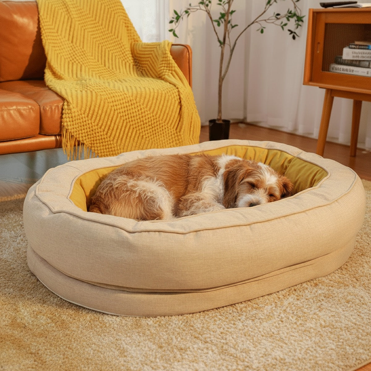 Rescue dog curled in donut bed
