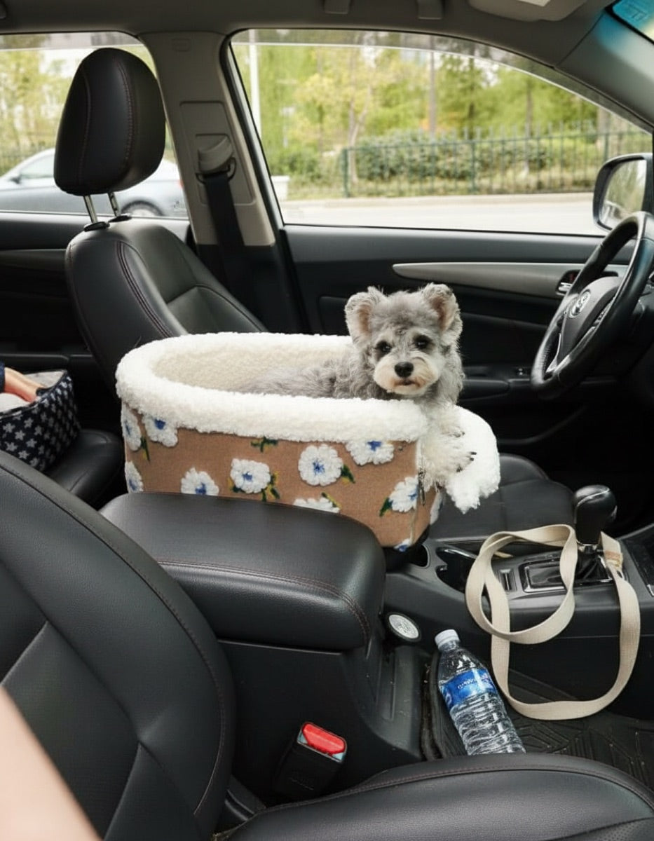 Small dog in fleece car booster seat