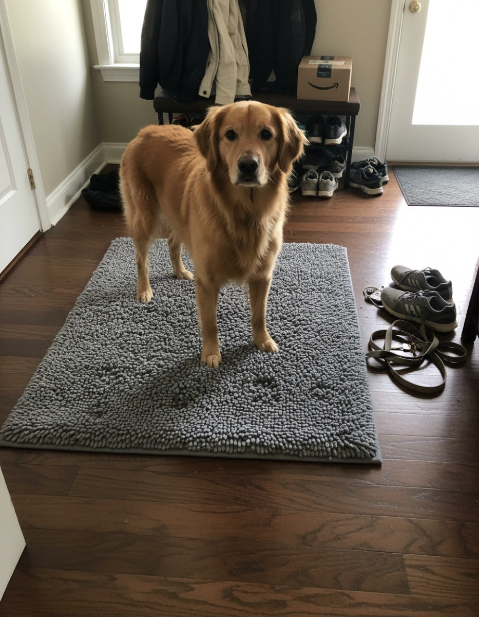 Dog standing on chenille mud mat