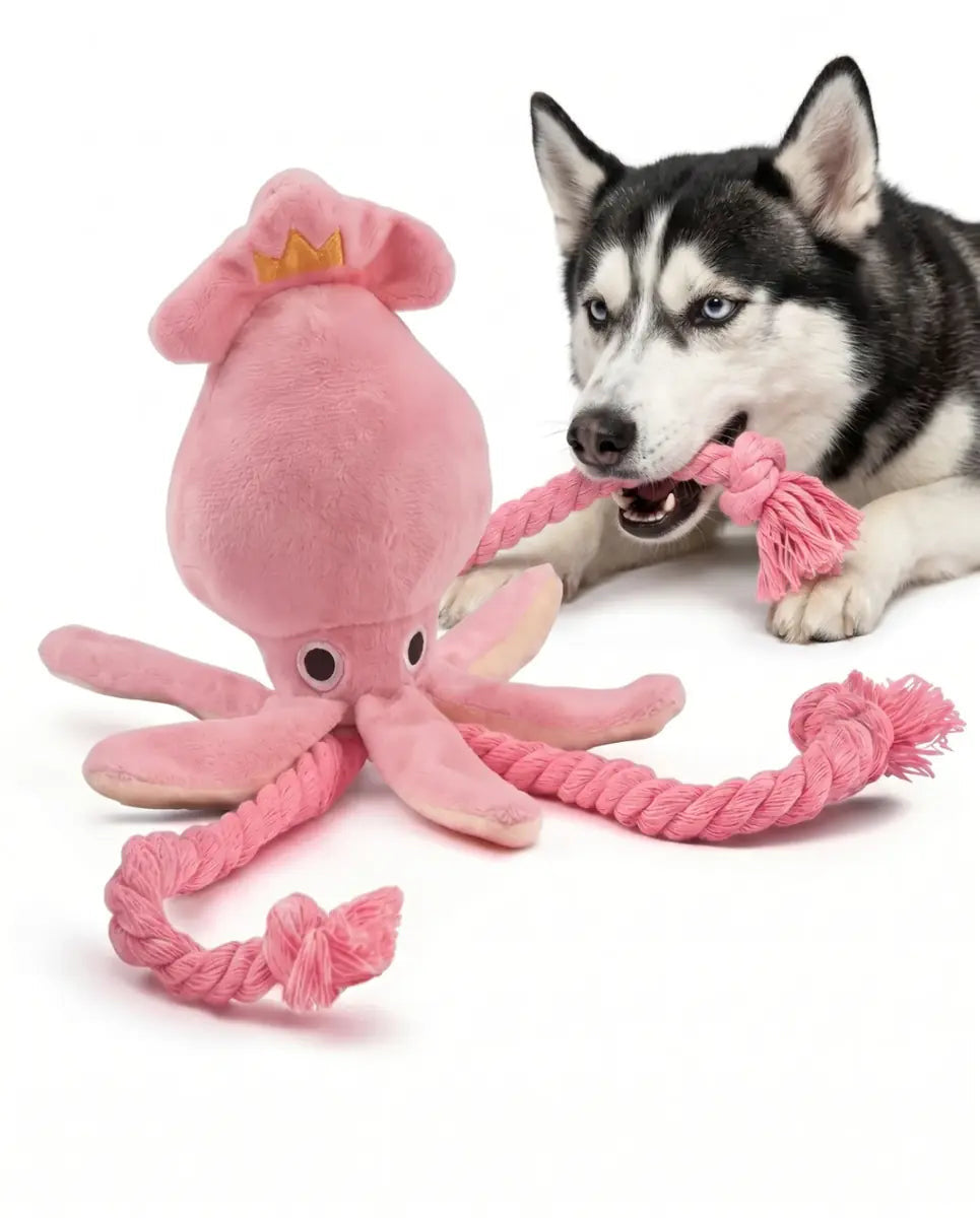 Dog with octopus plush